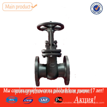 double disc cast iron gate valve 30ch6br with price